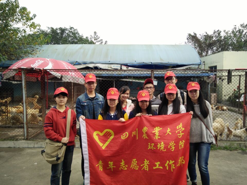 15vip太阳集团官网青年志愿者工作部再赴启明小动物保护中心开展志愿活动